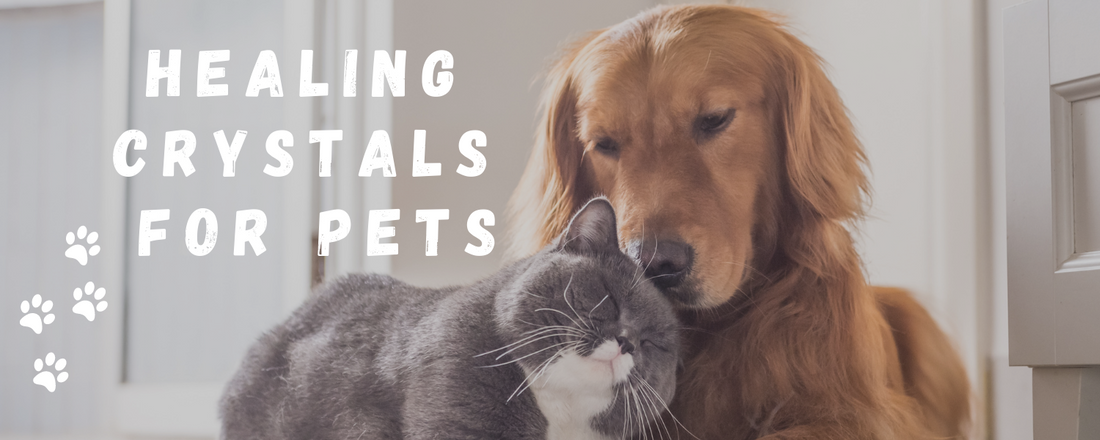 Best Healing Crystals for Pets