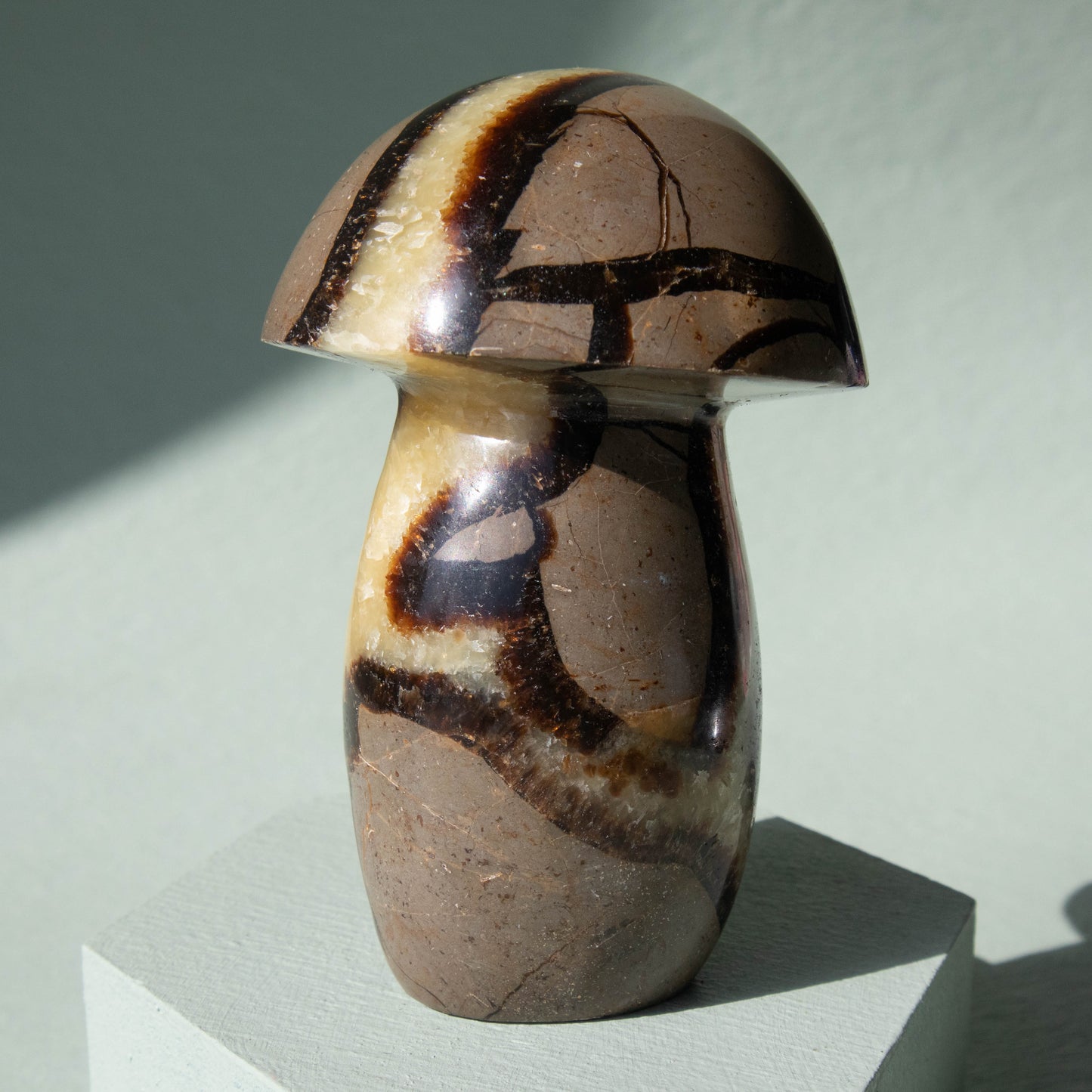 Septarian Mushroom 4"