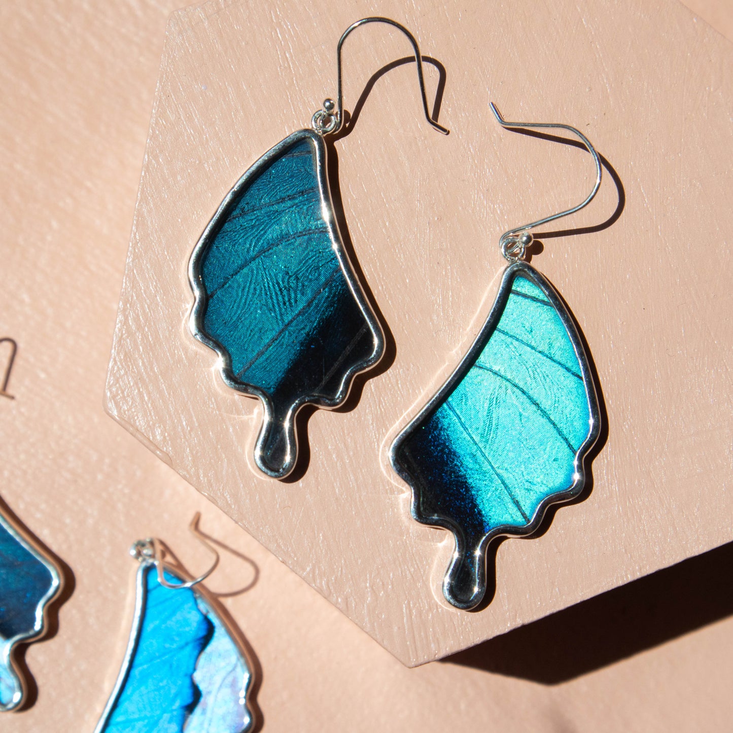 preserved butterfly earrings, preserved butterflies, butterflies, butterfly wings, morpho achilles, morpho achilles butterfly, morpho achilles species, butterfly jewelry, butterfly earrings, morpho sulkowski, morpho sulkowski species