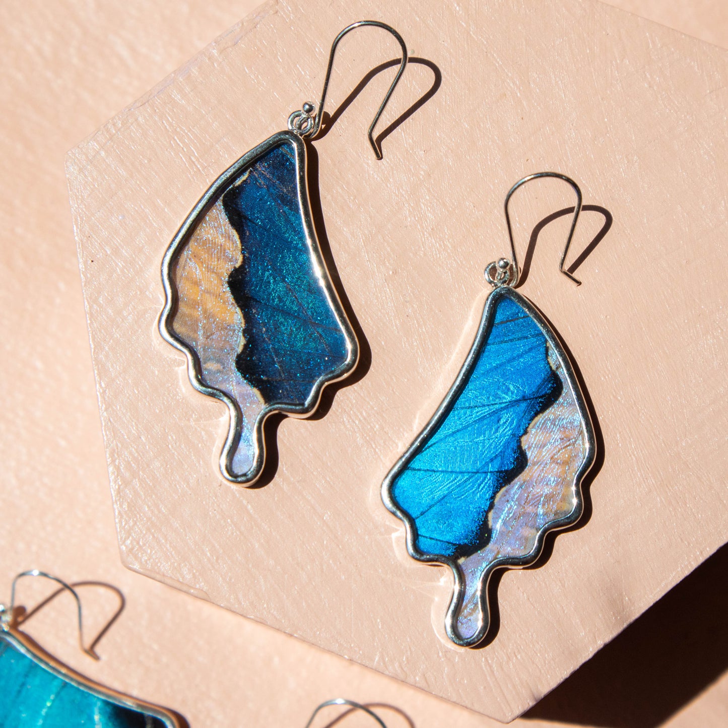 preserved butterfly earrings, preserved butterflies, butterflies, butterfly wings, morpho achilles, morpho achilles butterfly, morpho achilles species, butterfly jewelry, butterfly earrings, morpho sulkowski, morpho sulkowski species